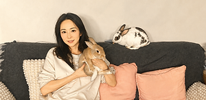 VENUSプロフィール|BunnyCare JP運営者・うさぎ福祉活動 VENUSプロフィール|BunnyCare JP運営者・うさぎ福祉活動